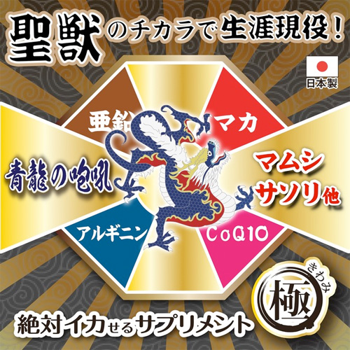 絶対イカせるサプリメント極 5種類画像2
