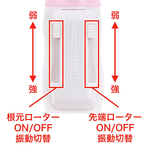 珍アナゴ画像4