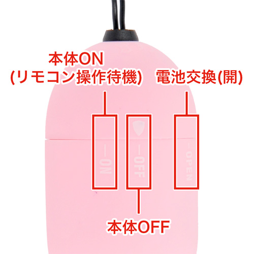 リモートエクスタシー TIMO(ティモ) No2画像4