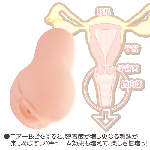 セブンティーンエボリューション(17 evolution)画像4