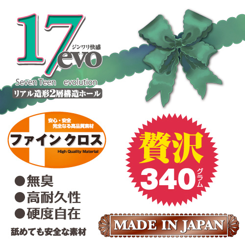 セブンティーンエボリューション(17 evolution)画像6