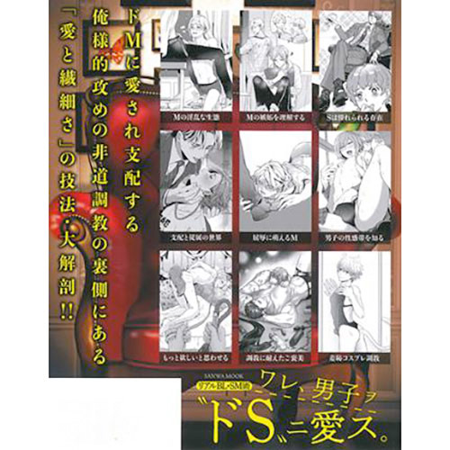 リアルBL・SM術 ワレ、男子ヲ“ドS”ニ愛ス。画像2
