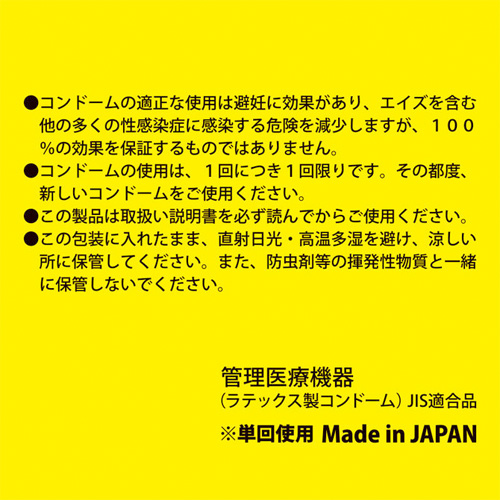 ポケスキ 4P画像3