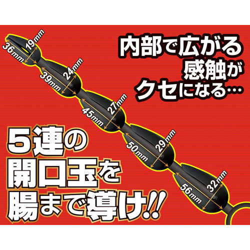 5連アナパッカーン シリコン画像4