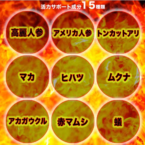 強者 KYOJA 100ml画像6