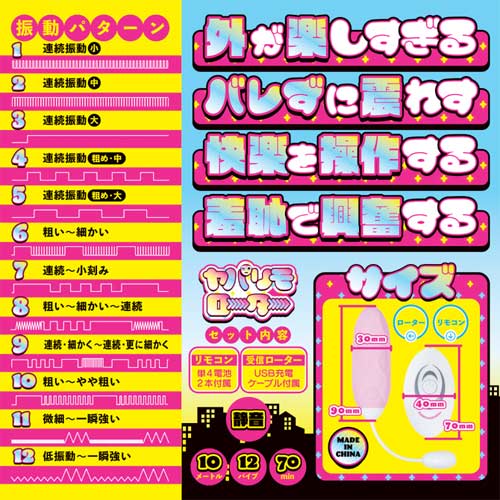 ヤバリモローター画像4