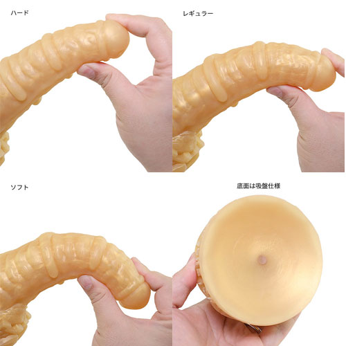 光龍画像5