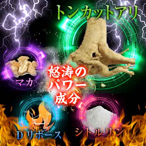 DEVIL MAGNUM デビルマグナム画像3