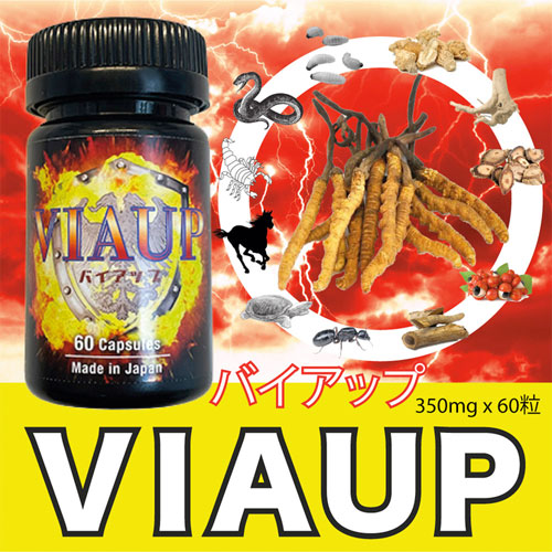 VIAUP バイアップ画像5