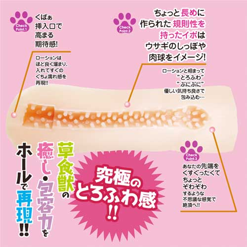 淫獣王国 びーすとキングダムに転生した俺はもはや彼女達の性玩具 おもちゃ らびっと画像2