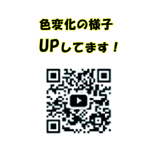 電動アナクリツインバイブ ブラック ピンク画像6