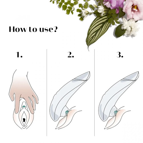 Womanizer Premium Eco ウーマナイザー プレミアムエコ画像3