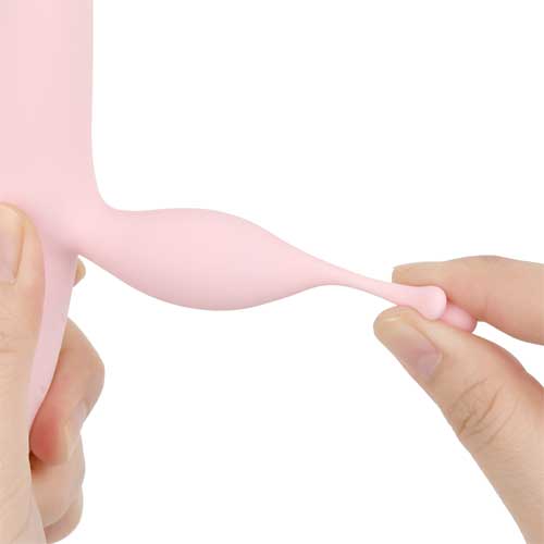 Erocome シグナスキス画像5