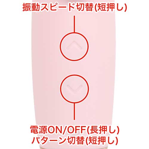 Erocome シグナスキス画像6