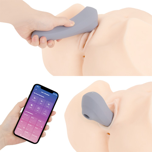 Satisfyer Dual Pleasure Mauve サティスファイヤー デュアルプレジャー画像6