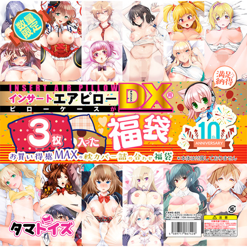 インサートエアピローDX用ピローケースが3枚入った福袋 10th Anniversary