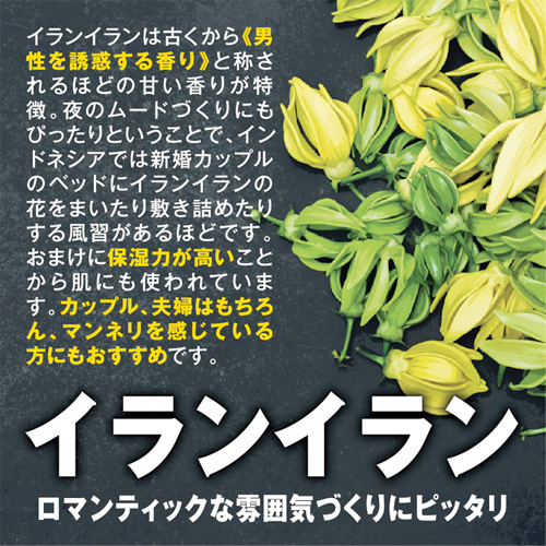 恋物語画像4