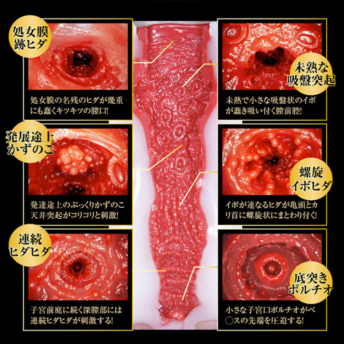 名器純情 松本いちか画像4