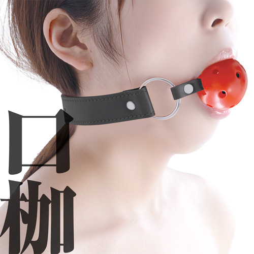 リニューアル SMart スマート JOINT_003 口枷画像2