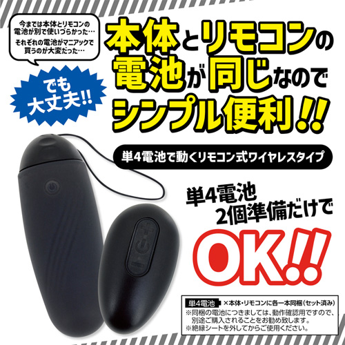 ベーシックリモコンローター画像2