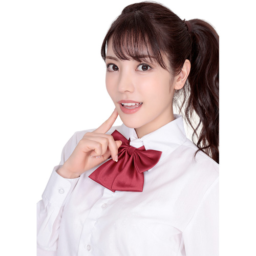 きゅん可愛スクールリボン 10種類画像6