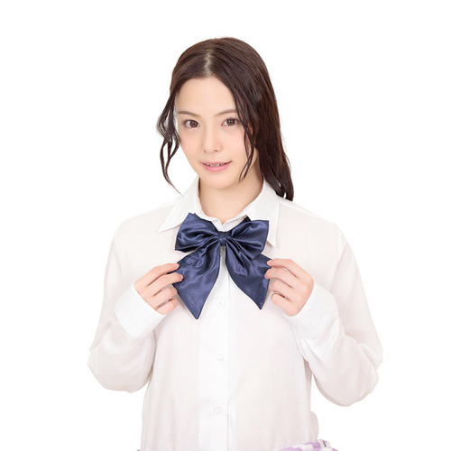定番清楚リボン ネイビー えんじ画像2