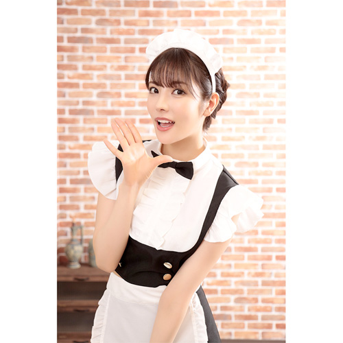 完璧デザインのセパレートメイド画像4