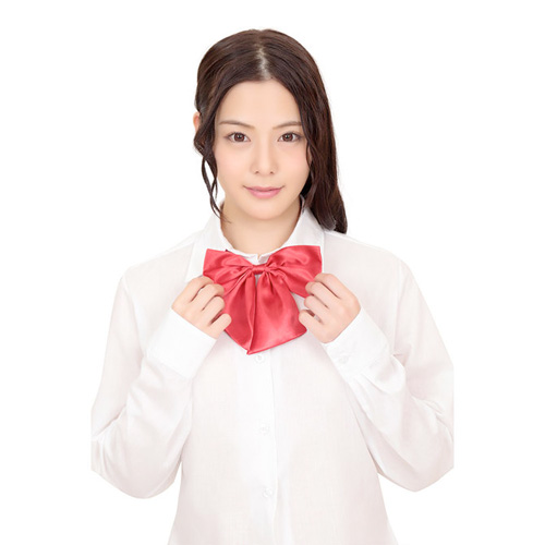 定番清楚リボン ネイビー えんじ画像3