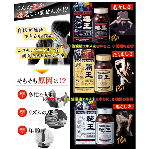 覇王画像4