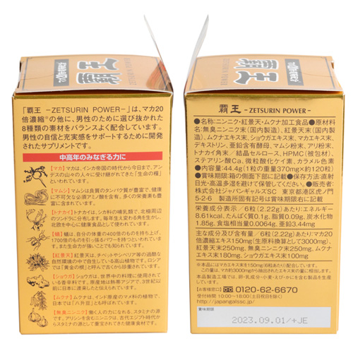 覇王画像3