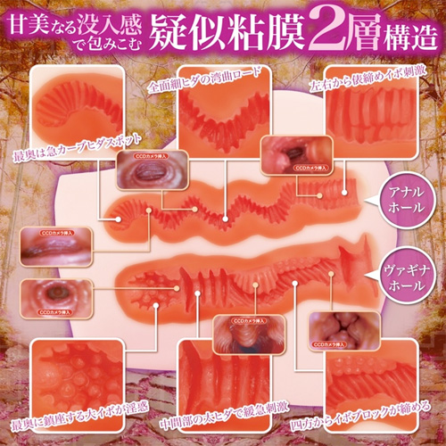 淫惑ラビリンス 軟 SOFT画像3