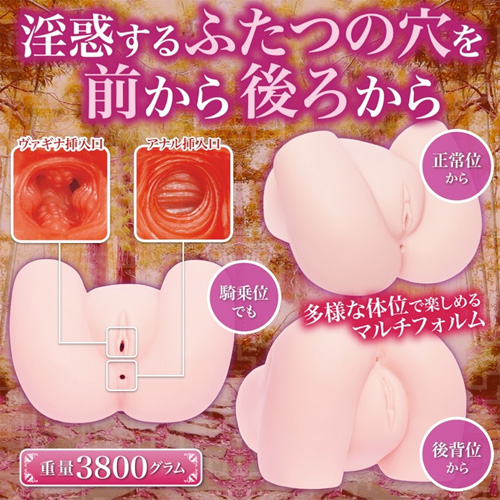淫惑ラビリンス 軟 SOFT画像4