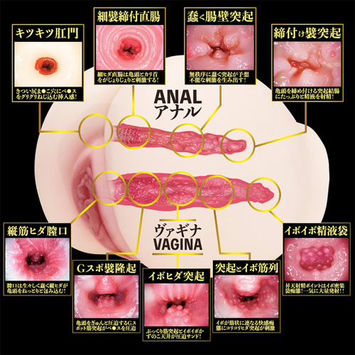 2穴 生桃尻 深田えいみ画像2