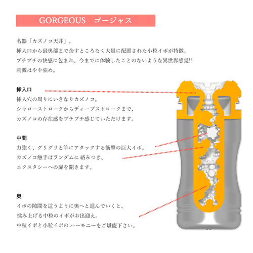 村西とおる×AI NICE CUP ナイスカップ GORGEOUS FANTASTIC画像3
