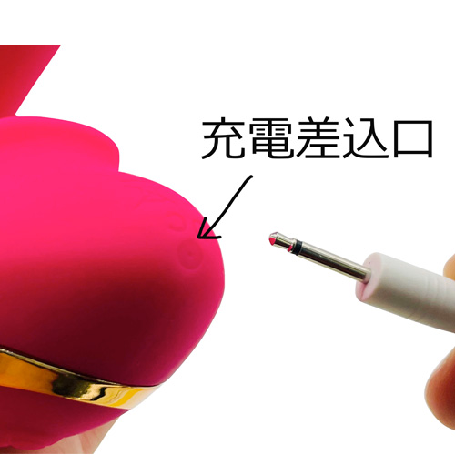 例の吸うやつ Sucking Vibrator画像6