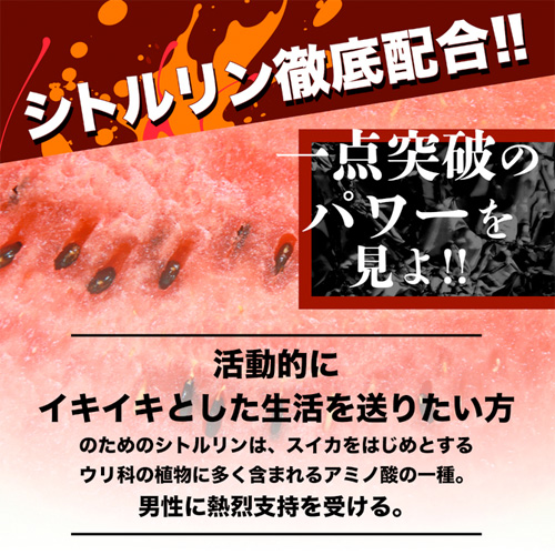 憤怒の化身シト・ル・リーン画像3