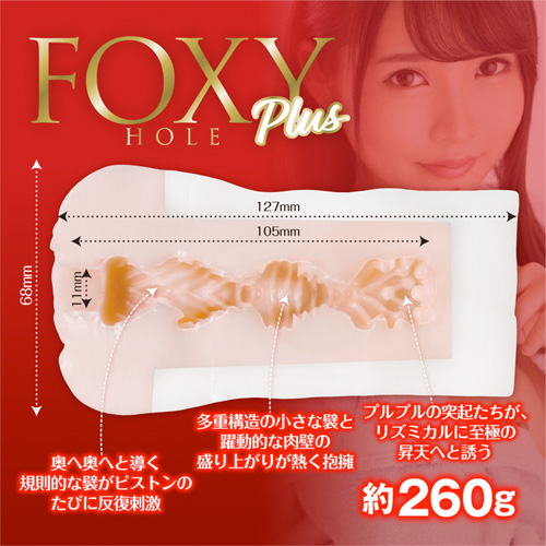 FOXY HOLE Plus フォクシーホール プラス 枢木あおい画像4