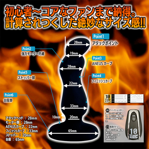 バックファイアー10 アエナスキック画像2