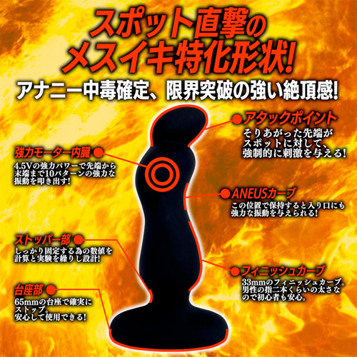 バックファイアー10 アエナスキック画像3