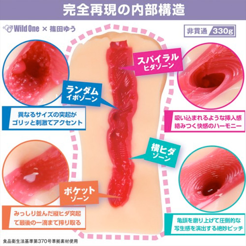 日本の名器 篠田ゆう画像2