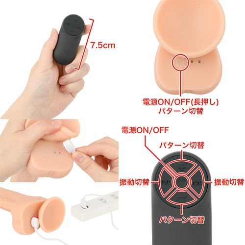 みちのくディルド 雷電画像6