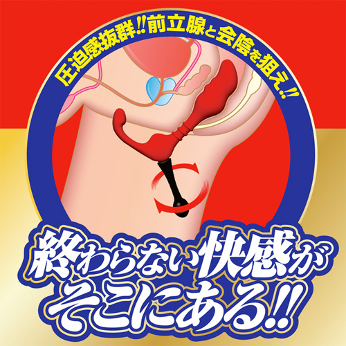 エネマドライブ エキスパート画像3