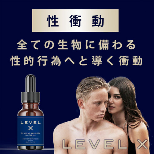 LEVELX画像3