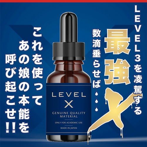 LEVELX画像5