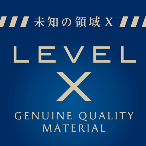 LEVELX画像2