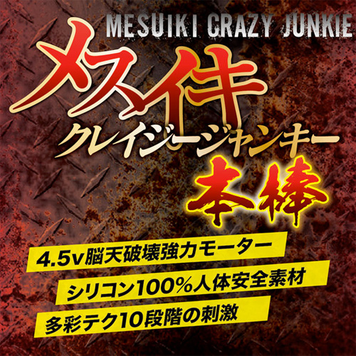 メスイキ クレイジージャンキー 本棒画像6