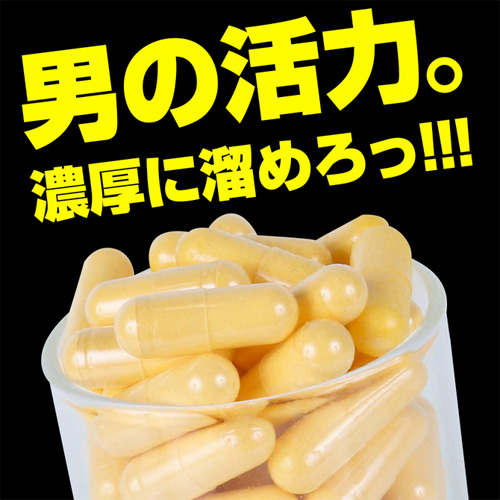 男の活力サプリ ギラッと 10日分 30日分画像2