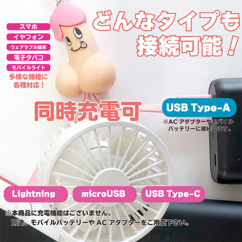 ナンデモ充電くん ち〇こ 充電ケーブル画像4