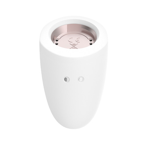 Satisfyer Marvelous Four サティスファイヤー マーベラスフォー画像6