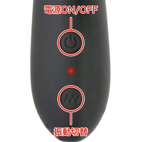 プロステートバイブビッグ画像4